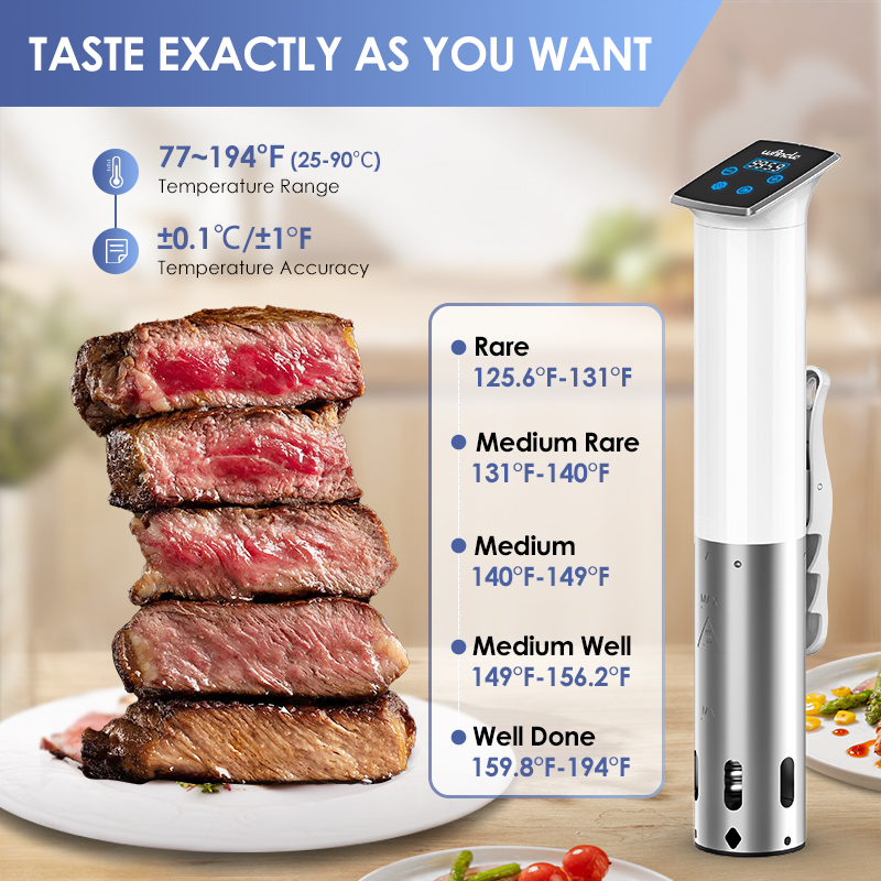 Wancle 1100W Waterproof Vacuum - đánh giá và giá Sous Vide Immersion