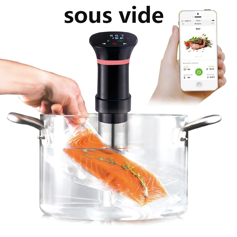 220V Sous Vide Precision Cooke - đánh giá và giá Sous Vide Immersion