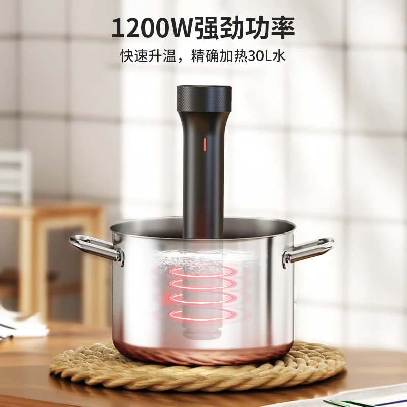 110V/220V WEVAC Sous Vide Prec - đánh giá và giá Sous Vide Immersion