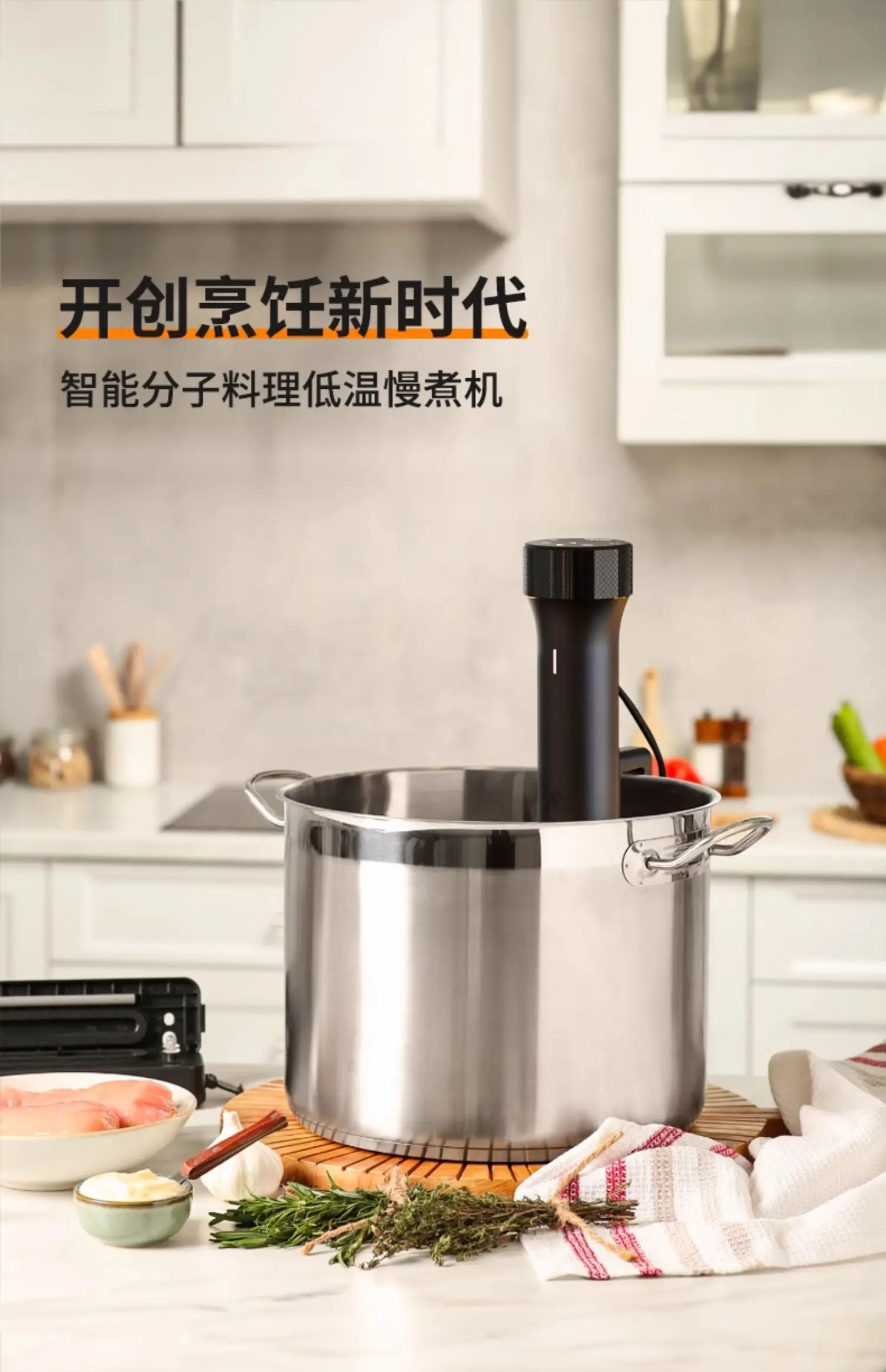 110V/220V WEVAC Sous Vide Prec - đánh giá và giá Sous Vide Immersion